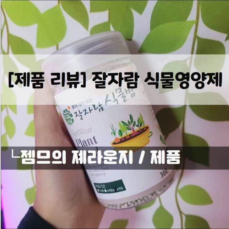  <식물영양제> 잘자람 완효성비료