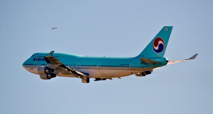  대한항공 "땅콩회항"사건(항공보안법 항로변경죄에서 "항로"의 의미와 죄형법정주의)