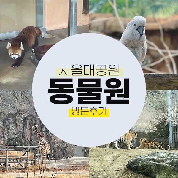 서울대공원 동물원 / 어른도 가면 재밌다 ! (+방문후기)