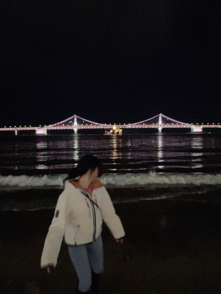  부산 3박4일 여행코스 추천 (해목, 블루라인파크 스카이캡슐&해변열차, 해동용궁사, 해운대전통시장, 상국이네 떡볶이, 숙성도, 바다마루전복죽, 옵스, 고래사어묵, 해리단길 CCD)