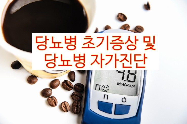  당뇨병 초기증상 및 당뇨병 자가진단