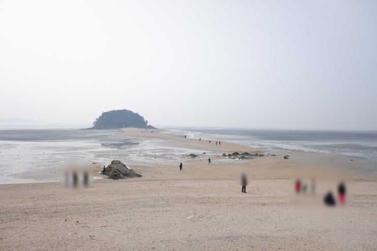  선재도 목섬, 선재도 물때 시간표확인