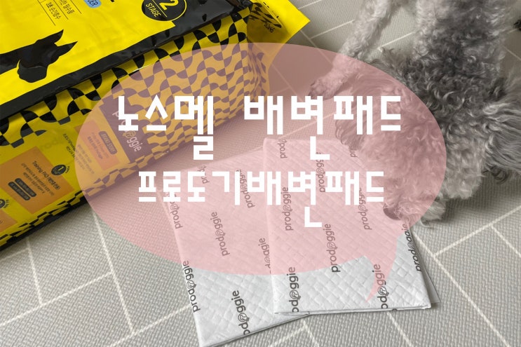  프로도기 강아지배변패드 노스멜패드
