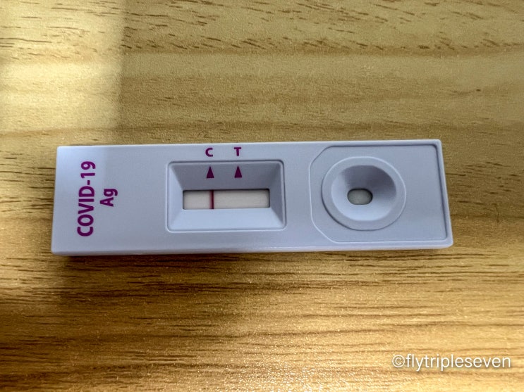  [후기] 코로나19 자가검사키트 신속항원검사 5번째 후기!음성/양성 판단법! 코가 많이 아픕니다...!