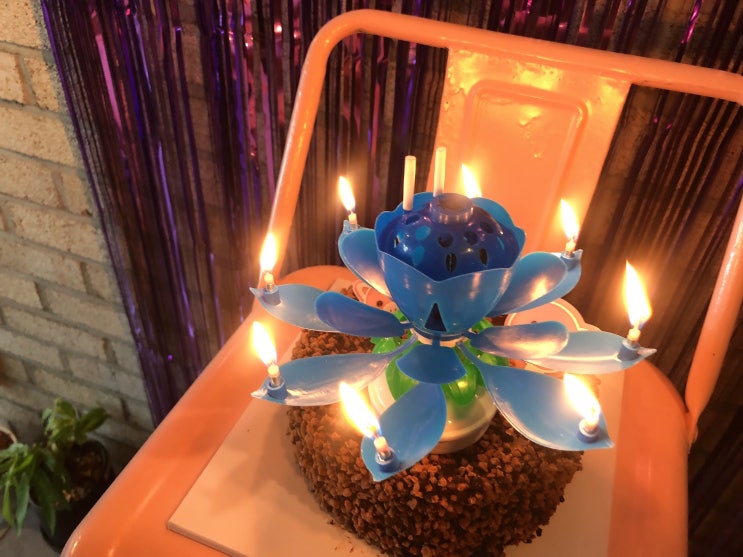  생일 연꽃초 끄는법 연꽃초 구입처(스토리빙) 후기