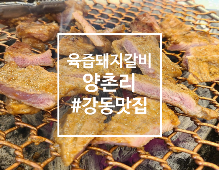  강동구 육즙터지는 돼지갈비맛집 양촌리