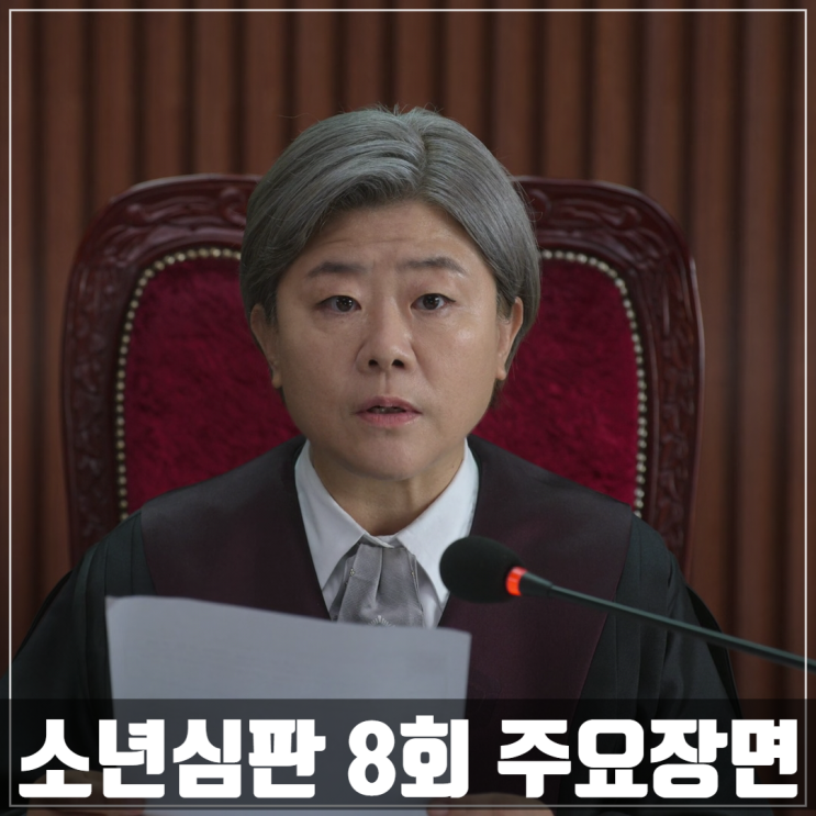  넷플릭스<소년심판>8회 줄거리 실화/김혜수/김무열/이성민/이정은