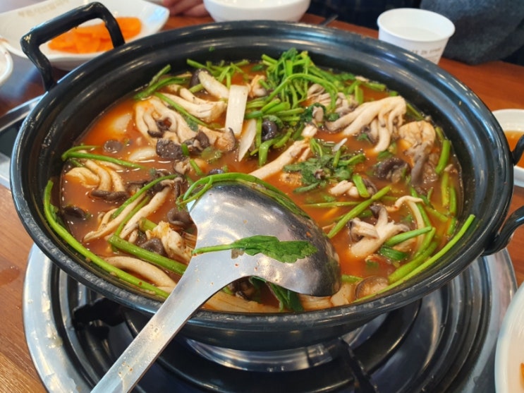  버섯매운탕칼국수 맛집 아산 등촌 샤브 칼국수