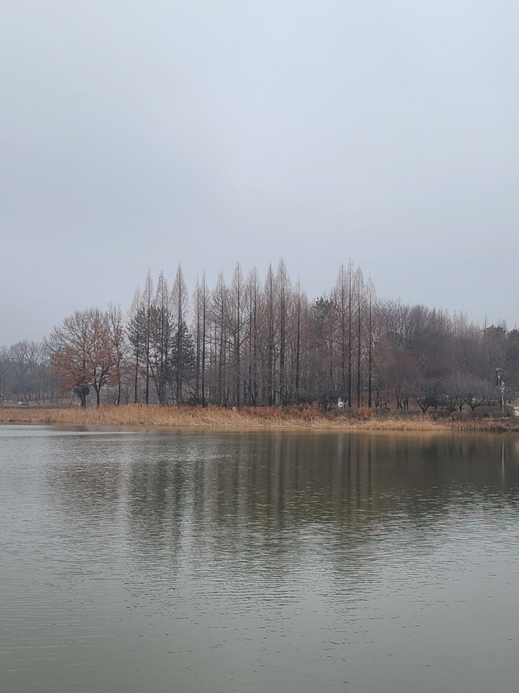김제 가볼만한 곳, 김제 시민문화 체육공원(김제 시민문화 공원) 풍경(3월 1일)