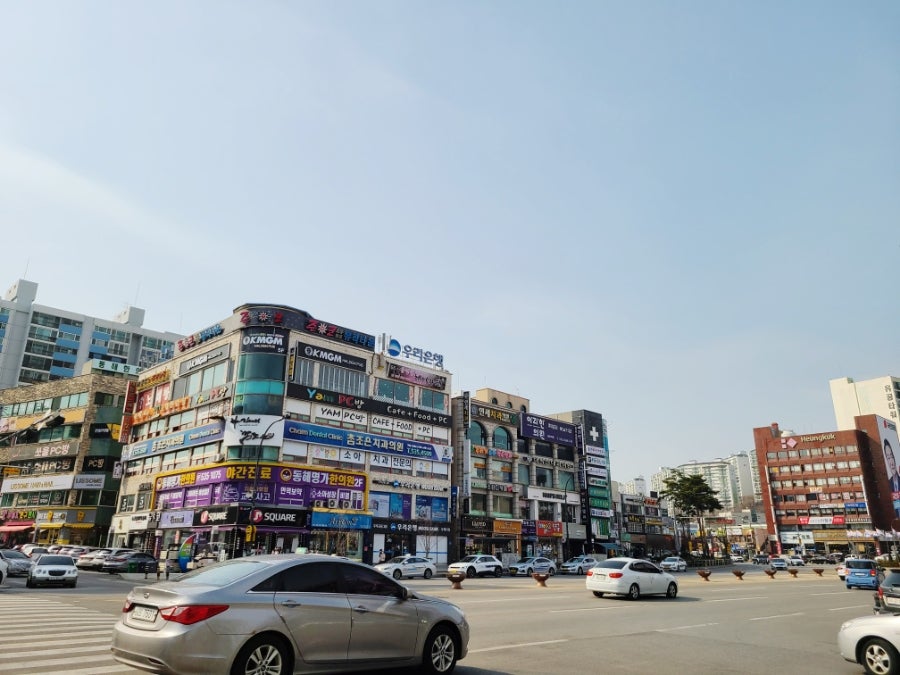 파리바게뜨 동해점 사진 3