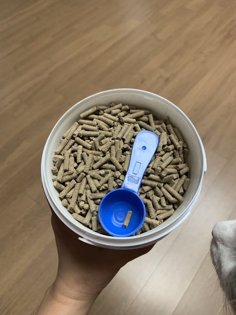 고양이 식이섬유 영양제 [파이보 : FIBOR]