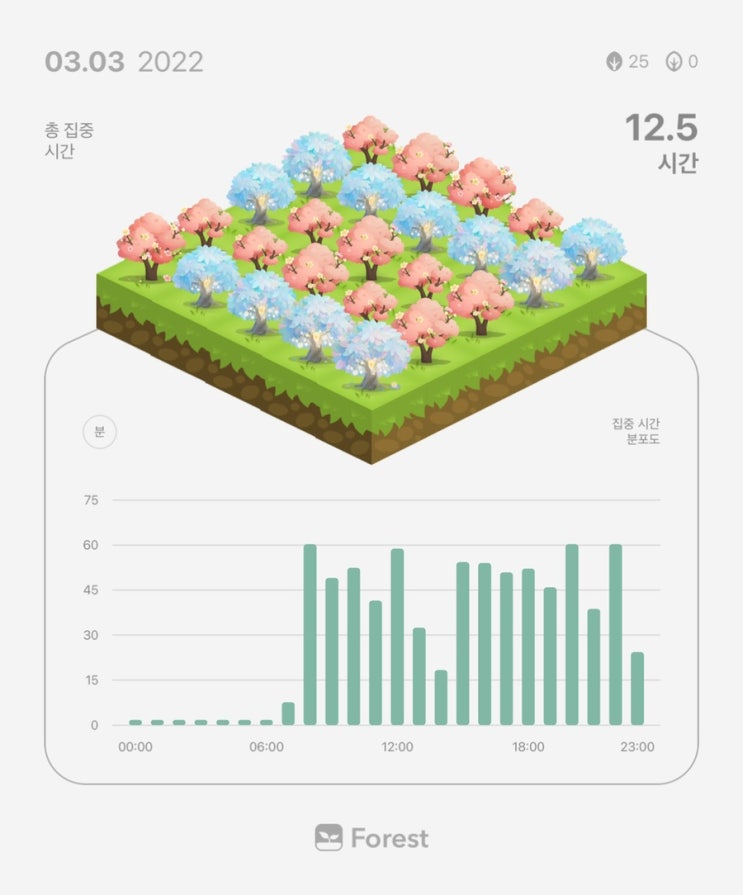  3월 4일 공시생 일기 + 복습
