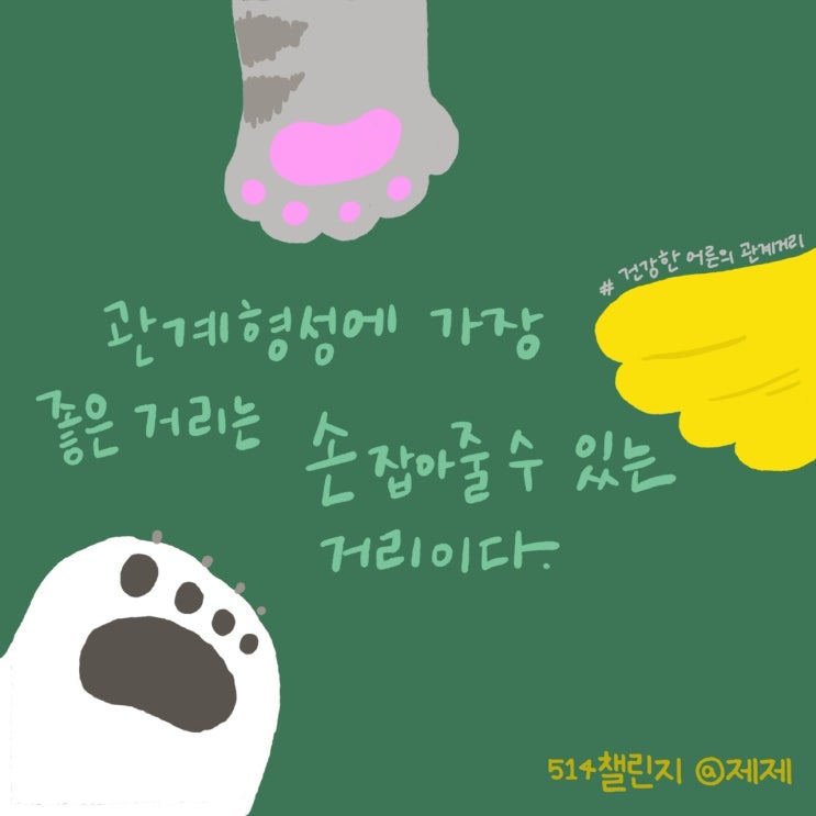  제제의 운동일기/벤치프레스 + 미라클모닝 4일차