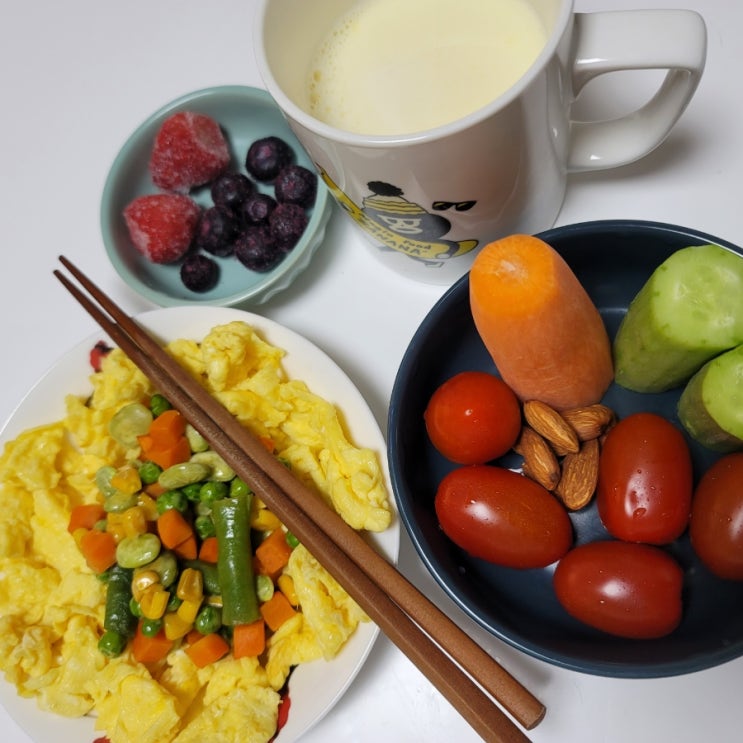  내 동력의 근원은 삶의 긴장감인가?(그래도 패턴유지하자) | 일상일기록 | 고양이집사 | D+158