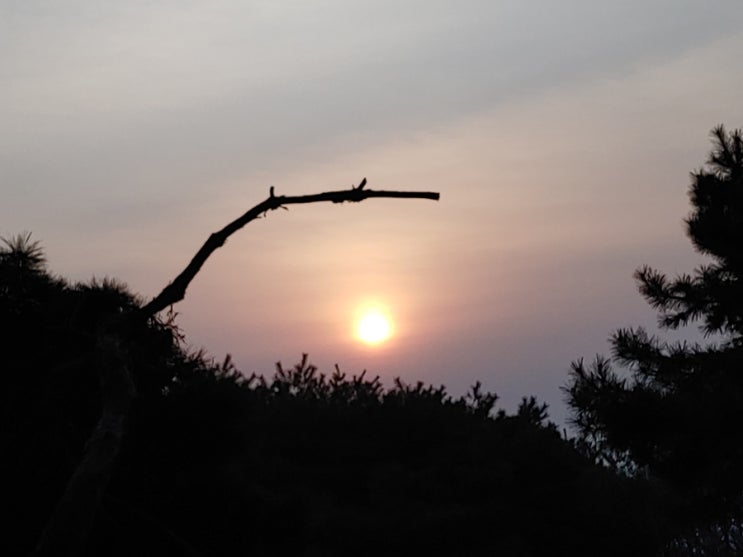 설봉산(칼바위)에서 본 오늘아침 해돋이 모습들 설봉산(칼바위)에서 본 오늘아침 해돋이 모습들