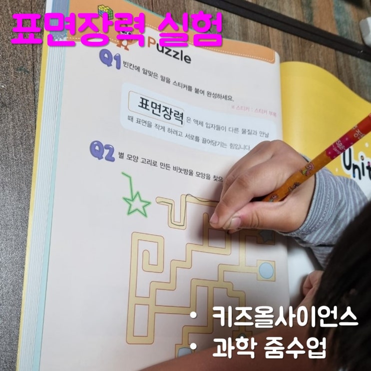  과학 줌수업 키즈올 사이언스 듣고 표면장력 실험