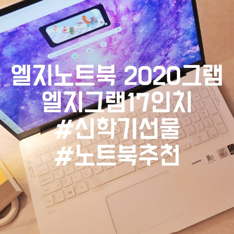엘지그램17인치 신학기선물 노트북추천 LG노트북 그램2020