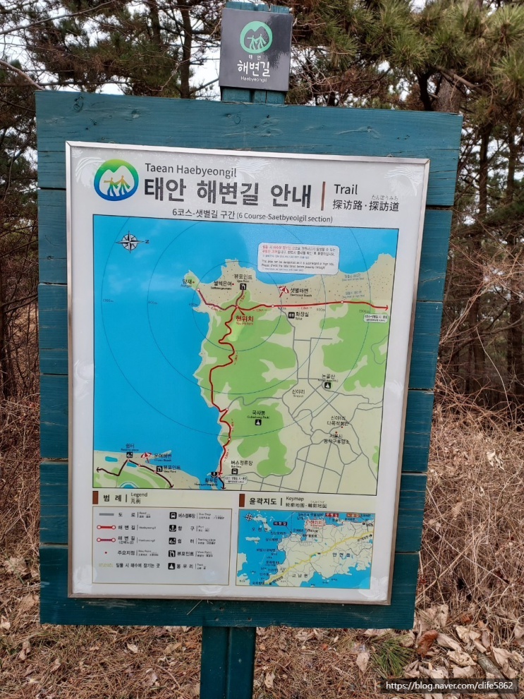  [차박 캠핑] 태안 안면도 트래킹(3/3) : 태안해변길6코스 완주!