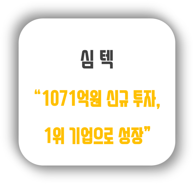  심텍(222800) 기업분석 1탄