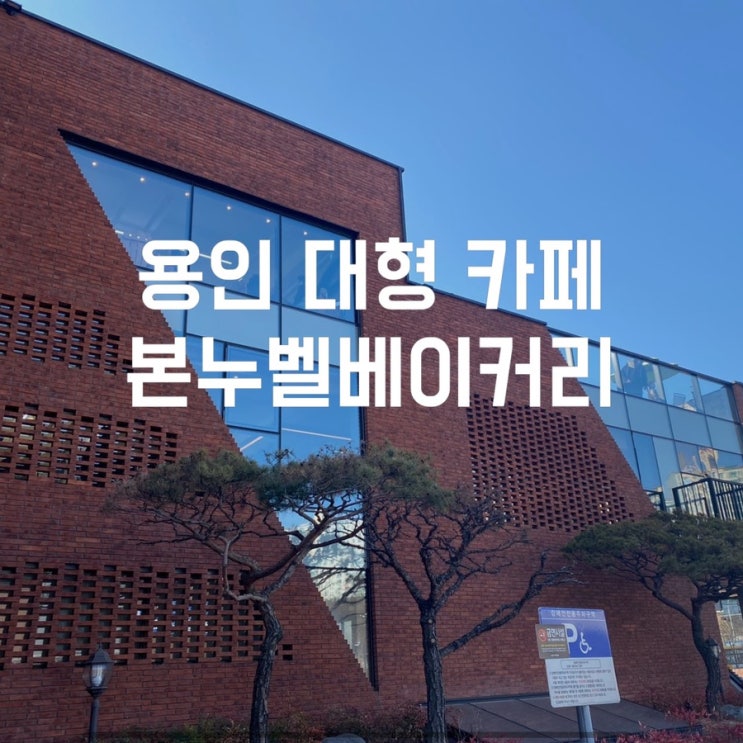  용인 카페 소금빵 맛집 본누벨베이커리