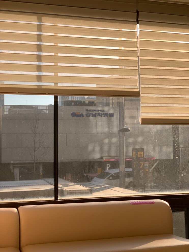  (난임일기(3))강남차병원 난임센터_난포확인
