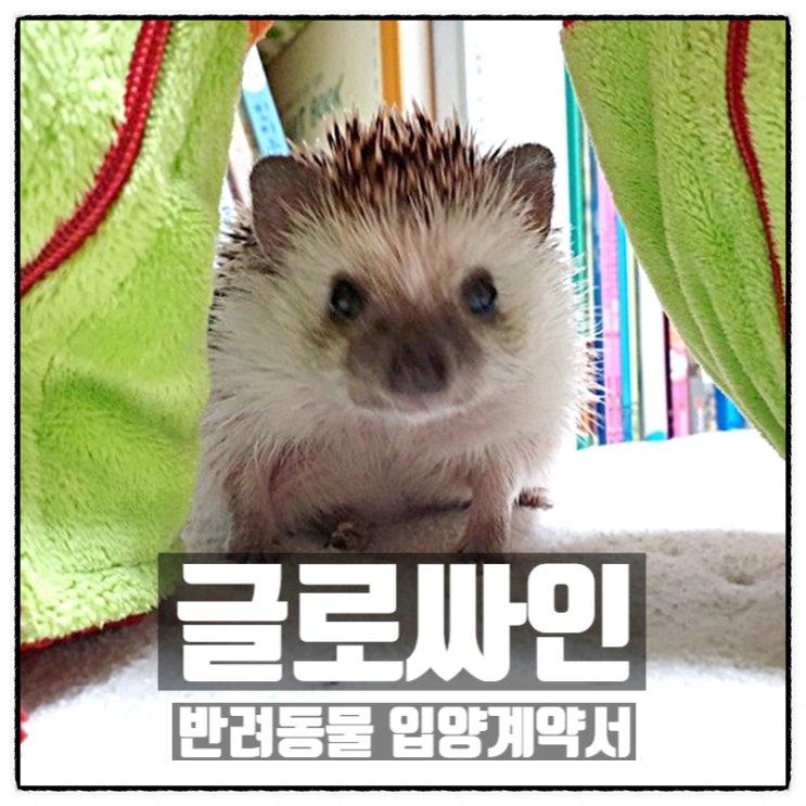  글로싸인 입양계약서 반려동물 안전하게 입양하기