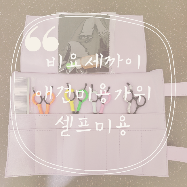  비요세까이 애견미용가위로 강아지 셀프미용해요