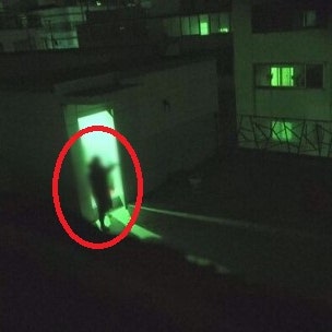 궁금한 이야기 Y 578회 돌멩이 태러범 대학가 프란체스카 정체는?
