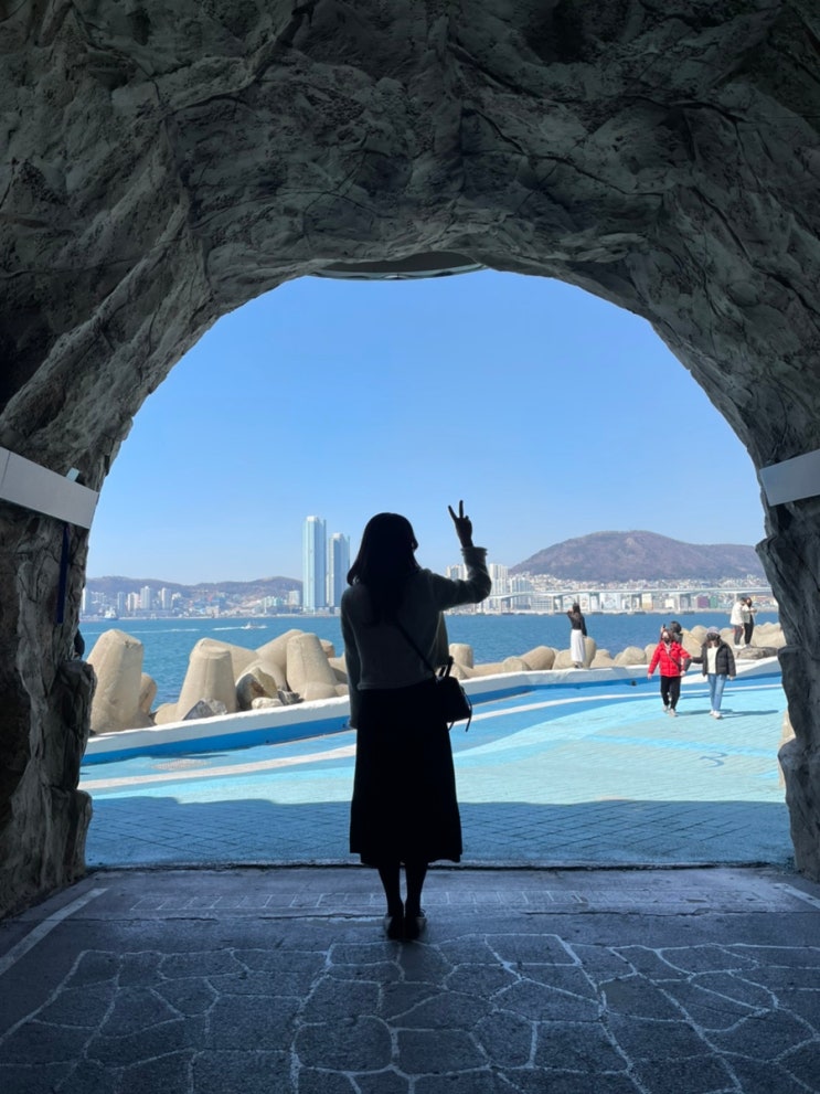  부산 3박4일 여행코스 추천 (DAY2 > 영도 흰여울문화마을, 태종대 닥치라누나 조개구이, 피아크 카페&베이커리, 광안리 회센터,  땅땅치킨)