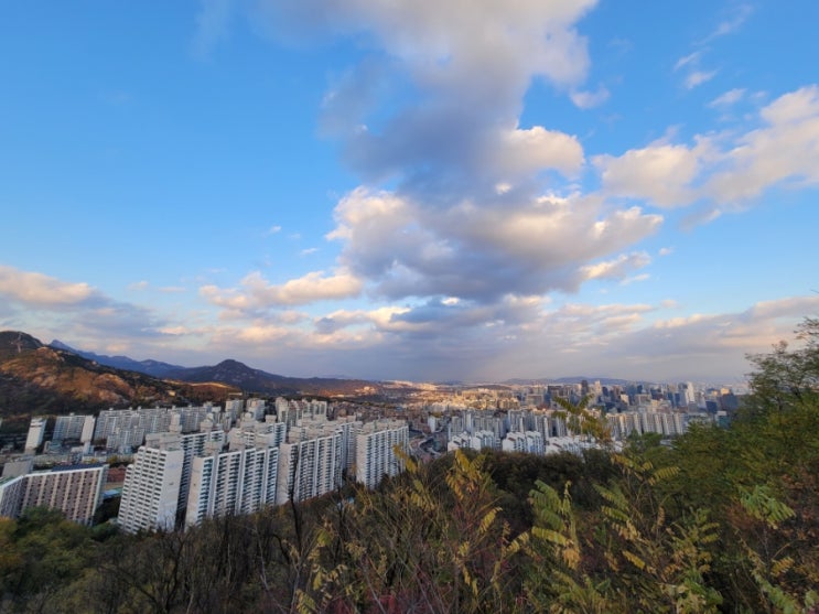  초보 등산 서울 힐링 할 곳 서대문구 안산 자락길 걷기