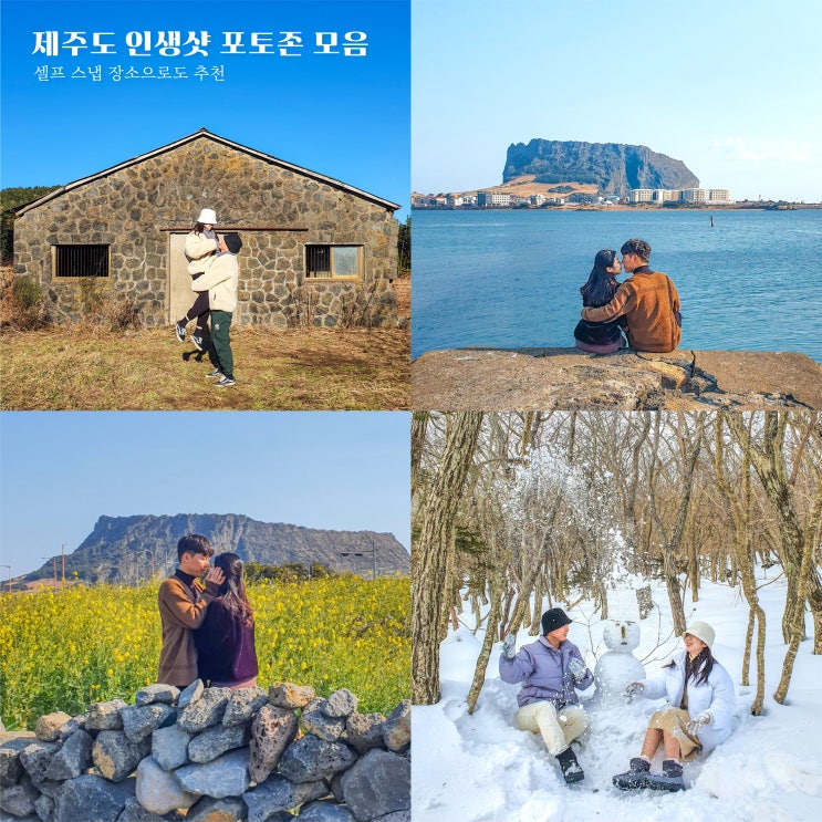  제주도 인생샷 건지는 예쁜 포토존 모음/ 셀프 스냅 포토 스팟 추천!