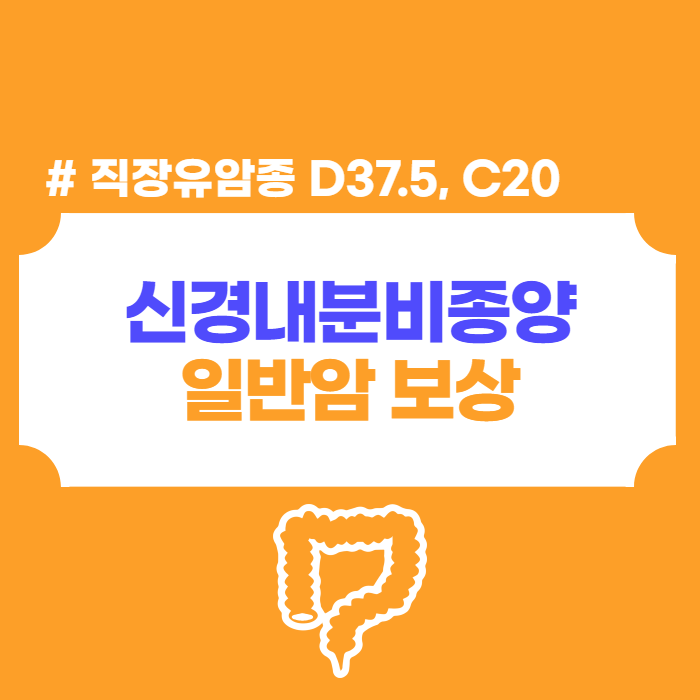 직장 신경내분비종양 일반암 분쟁 D37.5, C20