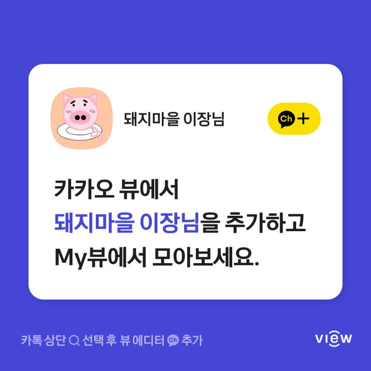  카카오뷰 1월 첫 수익 인증 (+카카오뷰를 시작하게 된 계기)