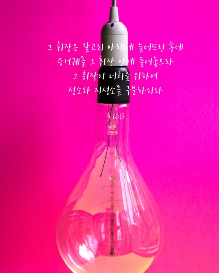  나라와 대선을 위한 30일 금식기도 26일차 출애굽기 26:33절 묵상