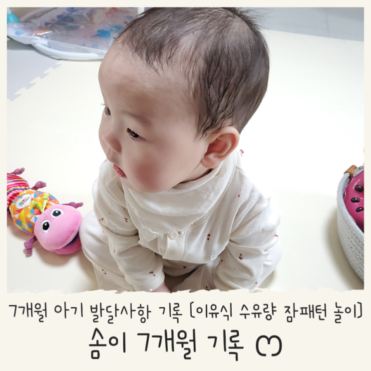  생후 7개월 이유식 수유량 수면시간 놀이 아기 발달 사항