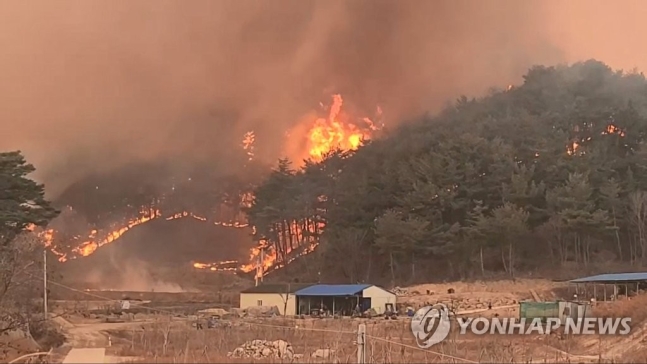 울진서 강풍 타고 큰 산불…한울원전 주변까지 불씨 날아들어(종합2보) 울진서 강풍 타고 큰 산불…한울원전 주변까지 불씨 날아들어(종합2보)