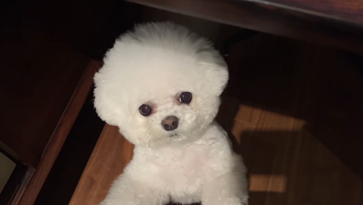  대망의 블로그 시작
