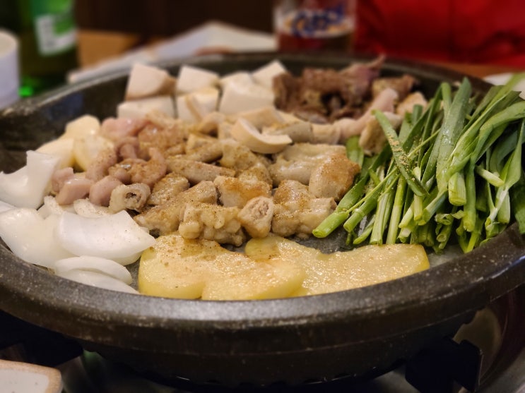  제주세화맛집, 오션뷰가멋진 백곱식당 세화점 내돈내산 후기 (Feat 백곱모둠곱창)