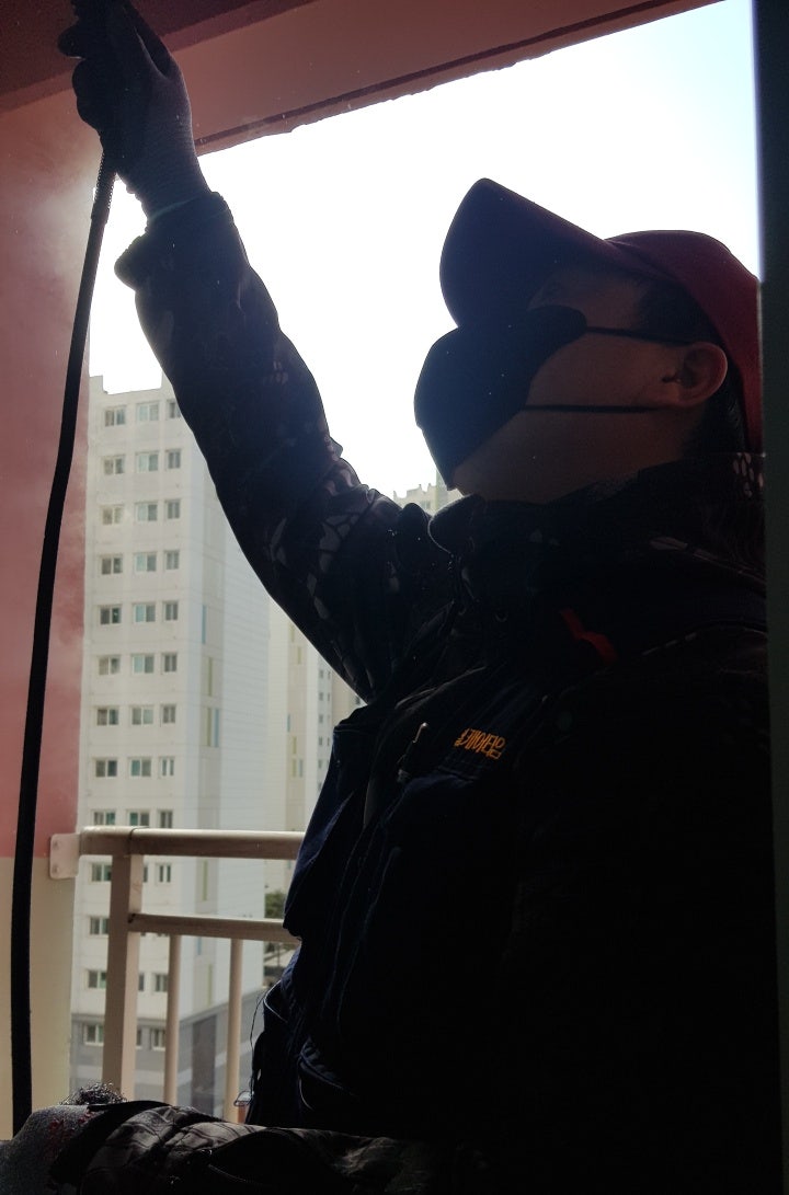  비둘기퇴치법 초기에 예방하세요