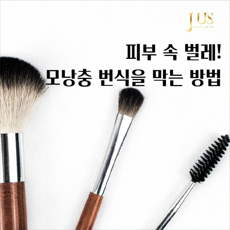  피부 속 벌레! 모낭충 번식을 막는 방법!