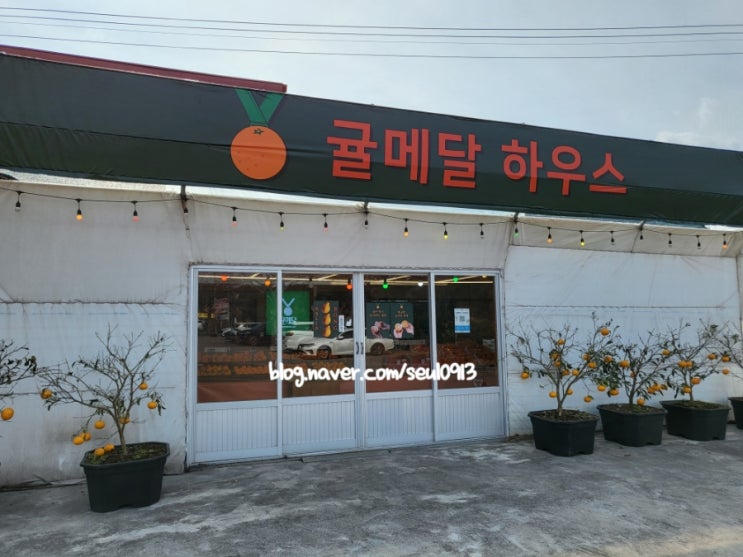  서귀포 명품감귤농원, 고당도 한라봉과 감귤착즙주스 '귤메달하우스'