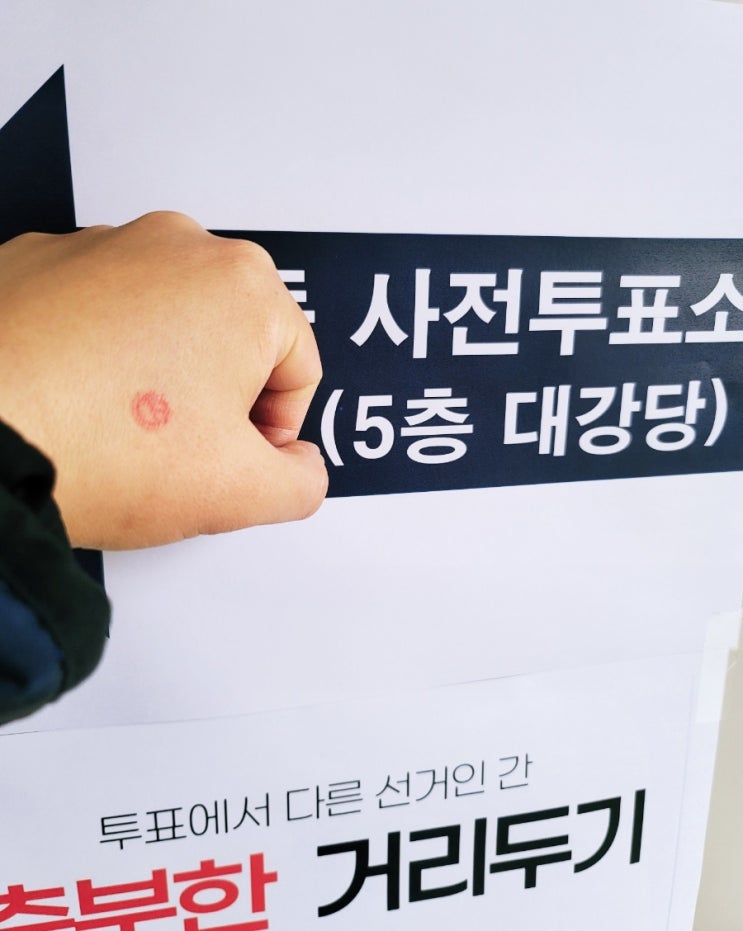 20대 대선 <b>사전투표</b> 다녀오다 - <b>사전투표</b> 장소, 시간, <b>투표</b>율