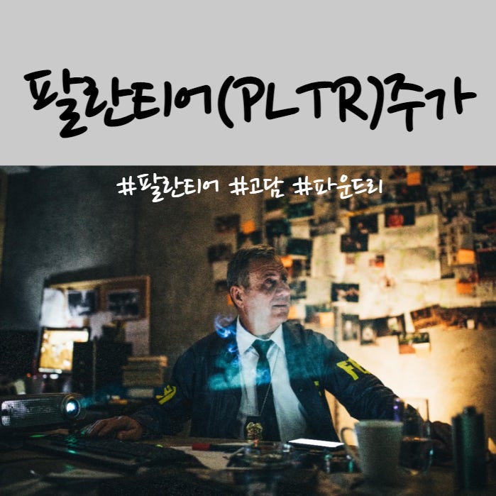 팔란티어 테크놀로지스 Class A(PLTR)주가 전망 및 기업분석