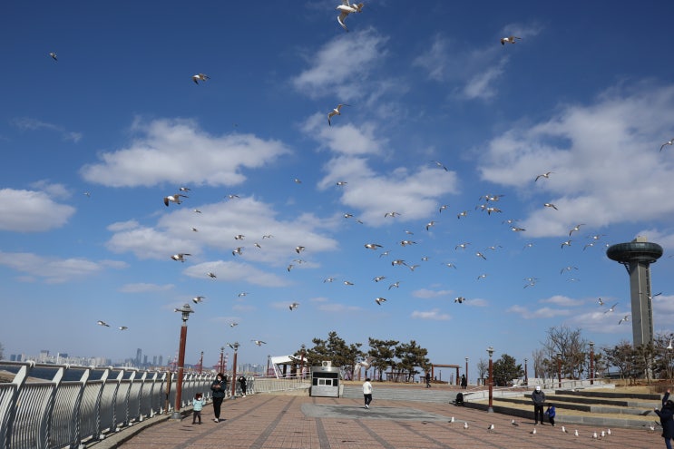  캐논 EOS M50 Mark II - 대부도