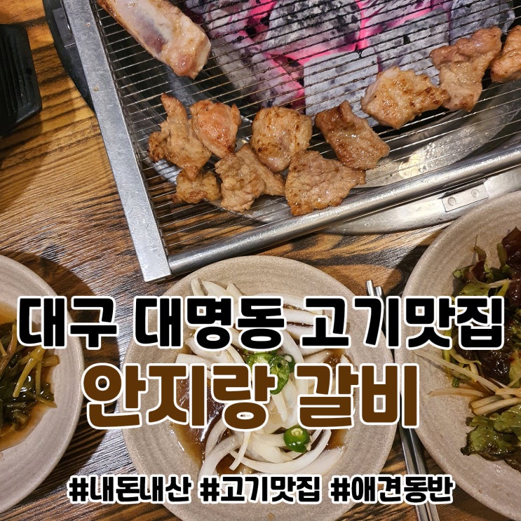  대구 대명동 애견동반 식당 '안지랑 갈비' 다녀오다