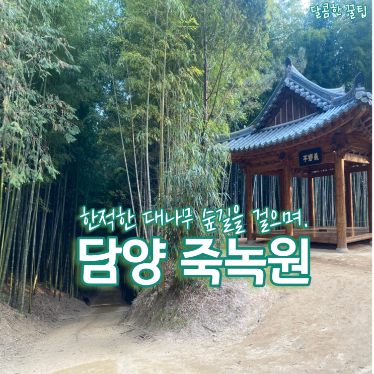  담양여행 지금 가볼만한곳 : 한적한 산책로 죽녹원 대나무숲길