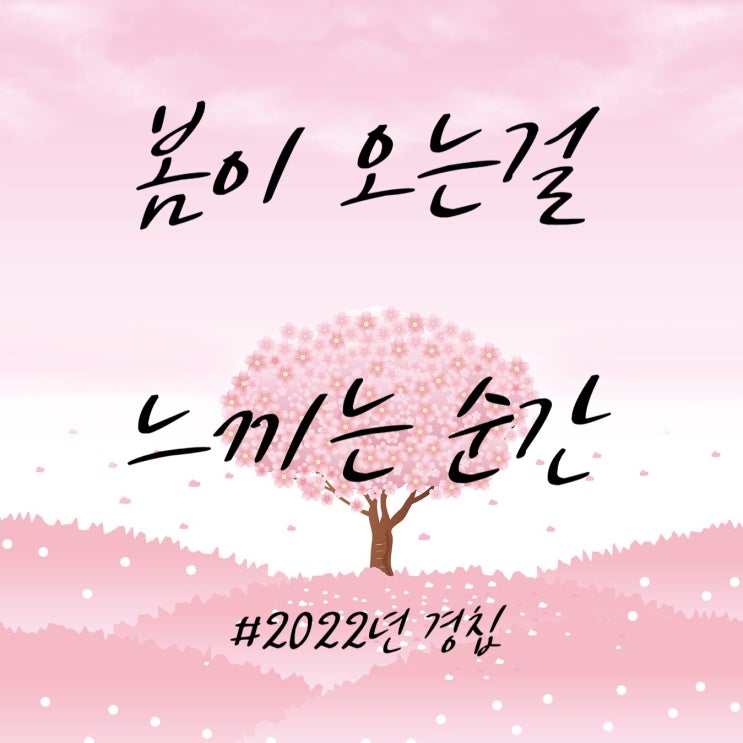  2022년 경칩 봄이 오는게 느껴지는 순간