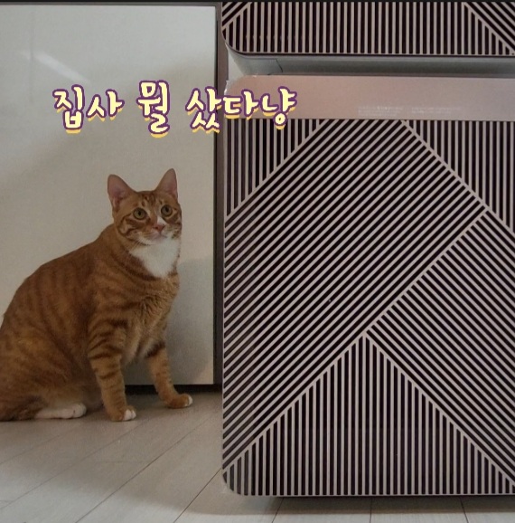  삼성 큐브 공기청정기) 비스포크 큐브 에어 로즈골드 65만원 구입기
