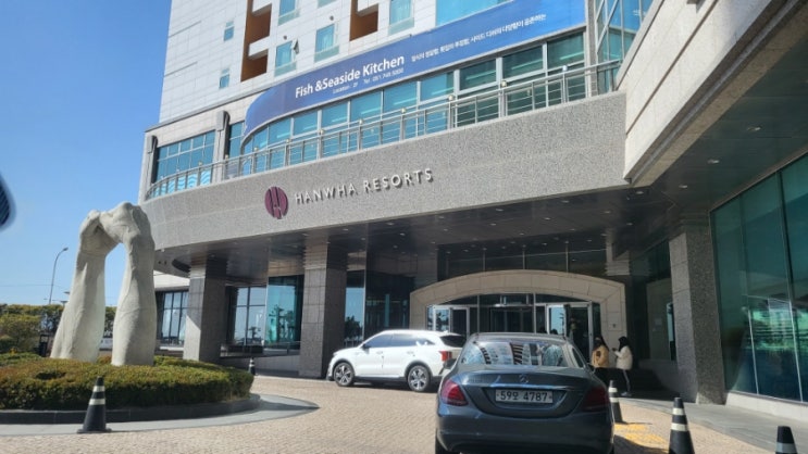  한화리조트웨딩 바다가 보이는 홀과 블루시걸뷔페