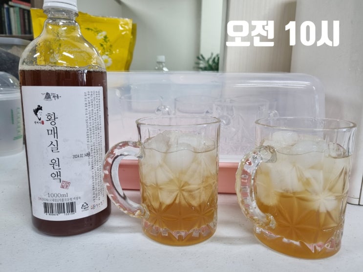  식이조절 다이어트, 간헐적단식(16:8)_31
